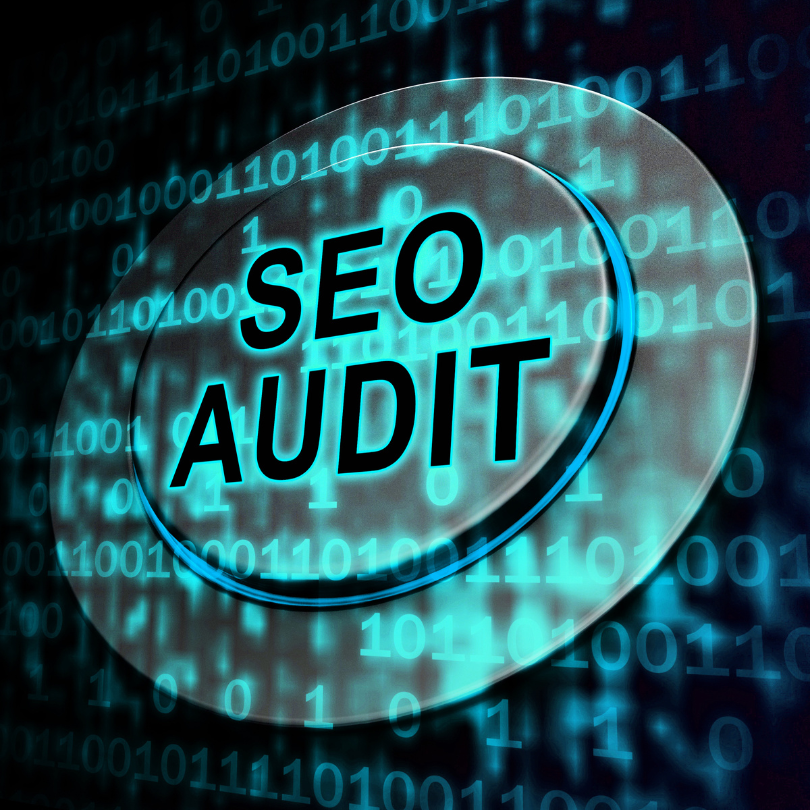 Free Seo Audit By Evolve Solutions